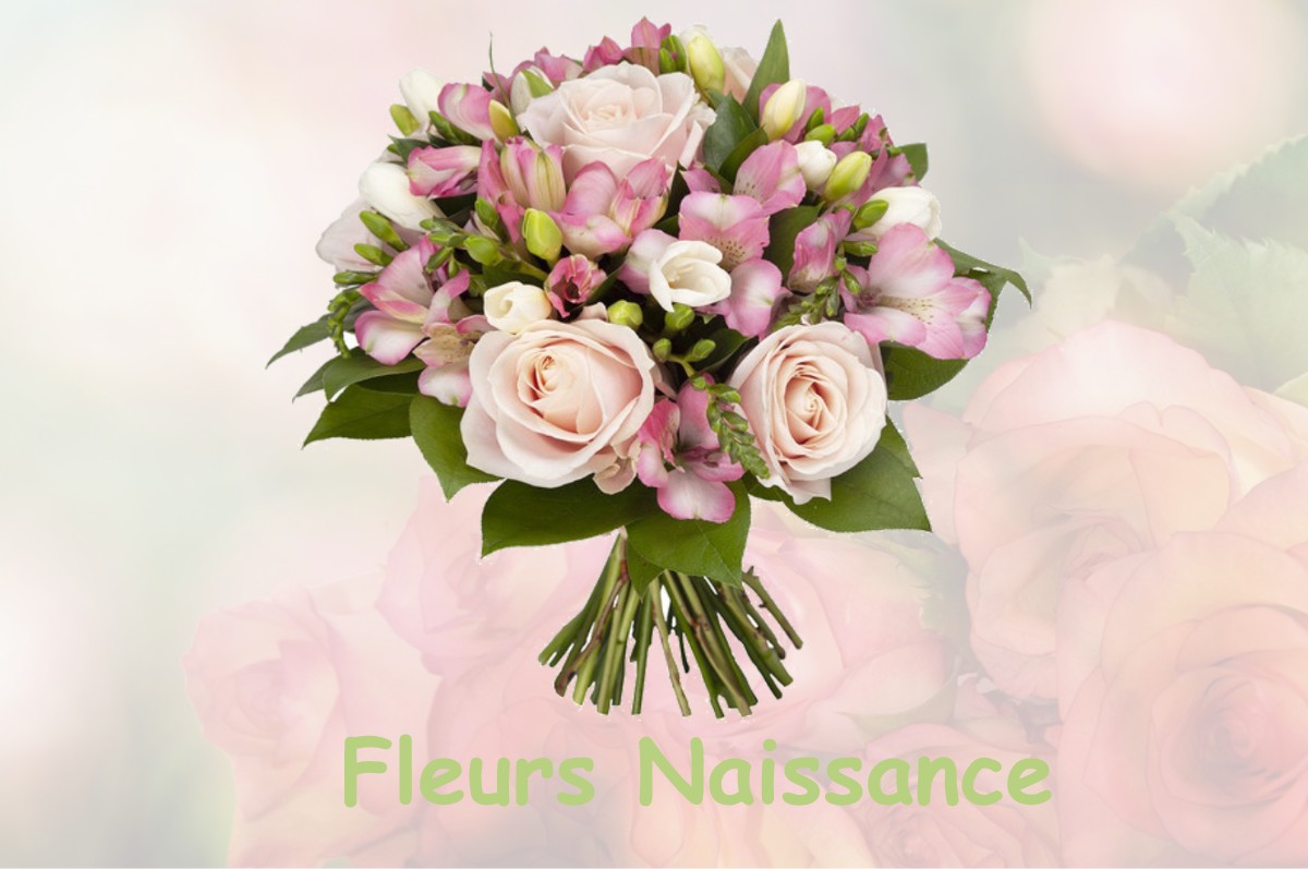 fleurs naissance ROQUESTERON