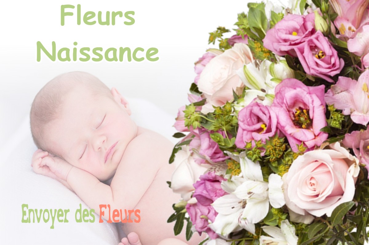 lIVRAISON FLEURS NAISSANCE à ROQUESTERON